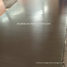 20mm Birch Core Film Faced Plywood para encofrado